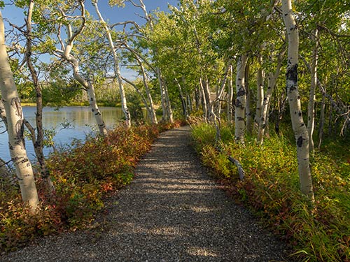 Premier Alaska Tours, Alaska, Adventure, Land Tours, Motorcoach Tours, Private Flight Tours, Railcar Tours