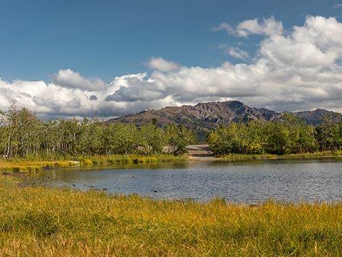 Premier Alaska Tours, Alaska, Adventure, Land Tours, Motorcoach Tours, Private Flight Tours, Railcar Tours