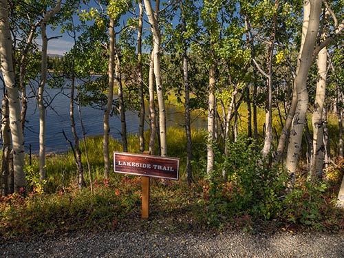 Premier Alaska Tours, Alaska, Adventure, Land Tours, Motorcoach Tours, Private Flight Tours, Railcar Tours