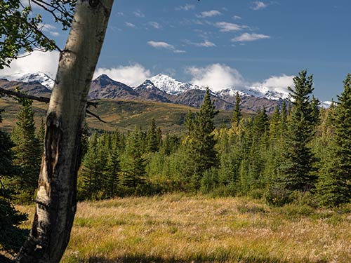 Premier Alaska Tours, Alaska, Adventure, Land Tours, Motorcoach Tours, Private Flight Tours, Railcar Tours