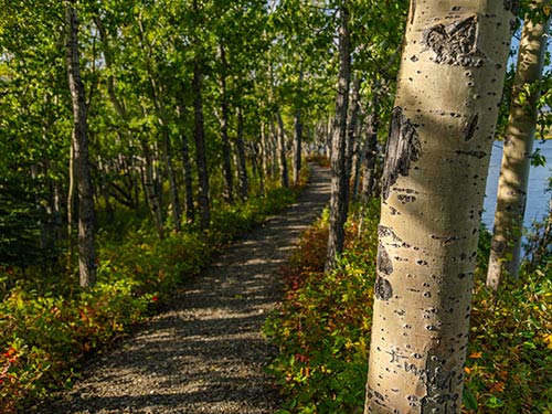 Premier Alaska Tours, Alaska, Adventure, Land Tours, Motorcoach Tours, Private Flight Tours, Railcar Tours