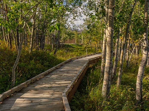 Premier Alaska Tours, Alaska, Adventure, Land Tours, Motorcoach Tours, Private Flight Tours, Railcar Tours