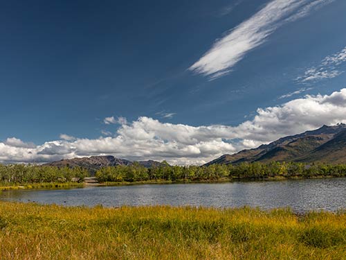 Premier Alaska Tours, Alaska, Adventure, Land Tours, Motorcoach Tours, Private Flight Tours, Railcar Tours