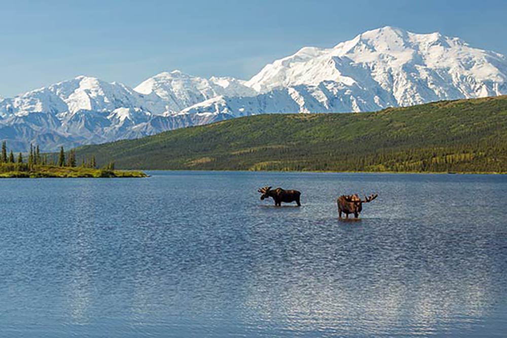 Premier Alaska Tours, Alaska, Adventure, Land Tours, Motorcoach Tours, Private Flight Tours, Railcar Tours